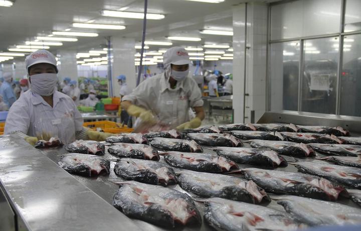 - Tận dụng công nghệ AI: Công nghệ AI có thể giúp các nhà sáng tạo tạo ra nội dung