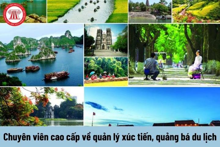 Hotspot Matrix và sự kiện thu hồi giấy phép lưu hành thuốc tại Việt Nam