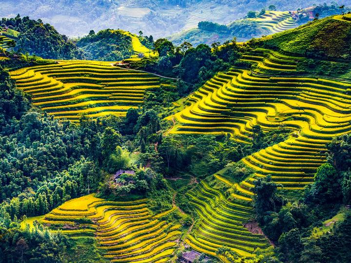 Hotspot Matrix: Văn hóa & Môi trường Làm Việc Tích Cực